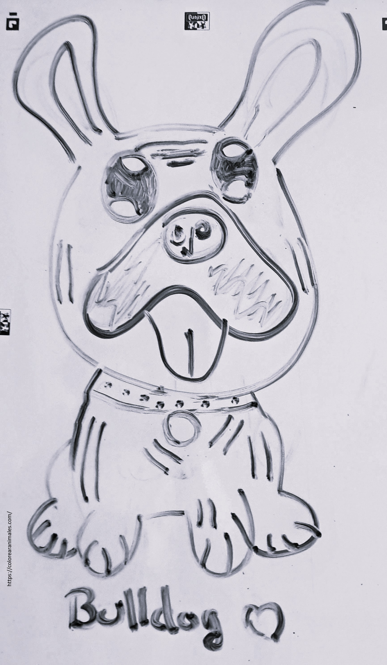 Bulldog para colorear rodeado de corazones — dibujo de Lara