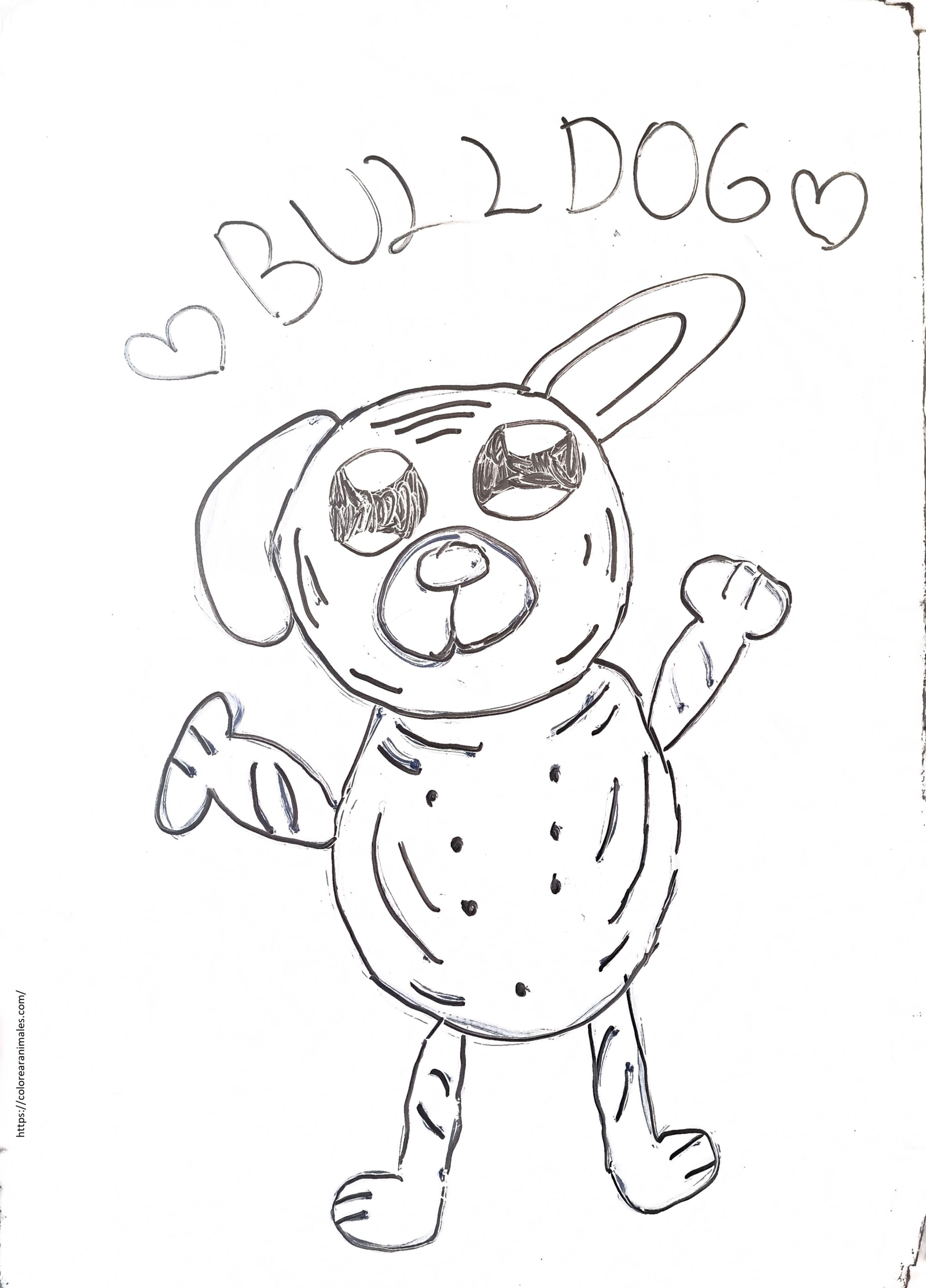 Bulldog de pie estilo dibujo animado para colorear — Lara