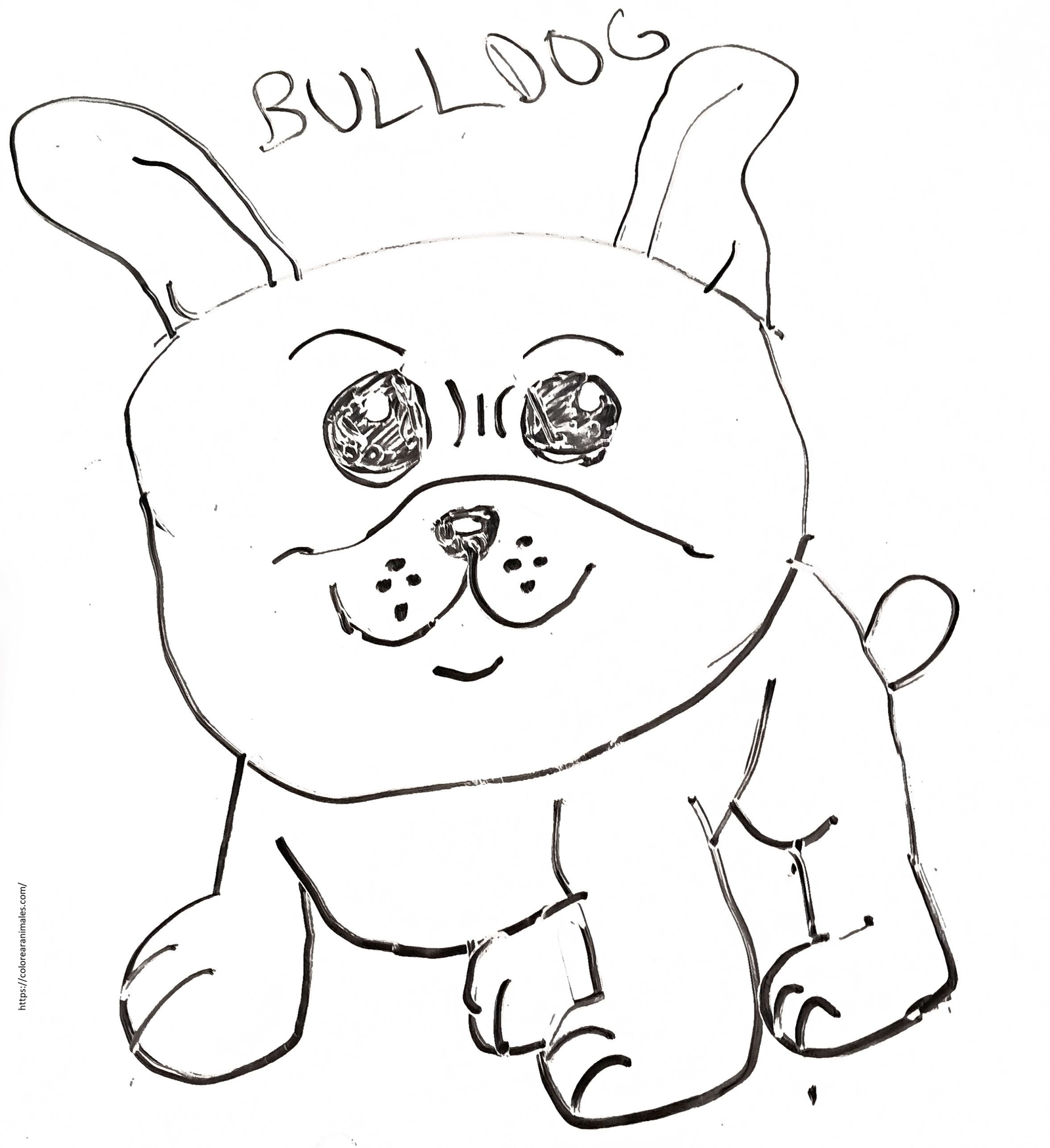 Cachorro bulldog sonriente para colorear, dibujo de Lara
