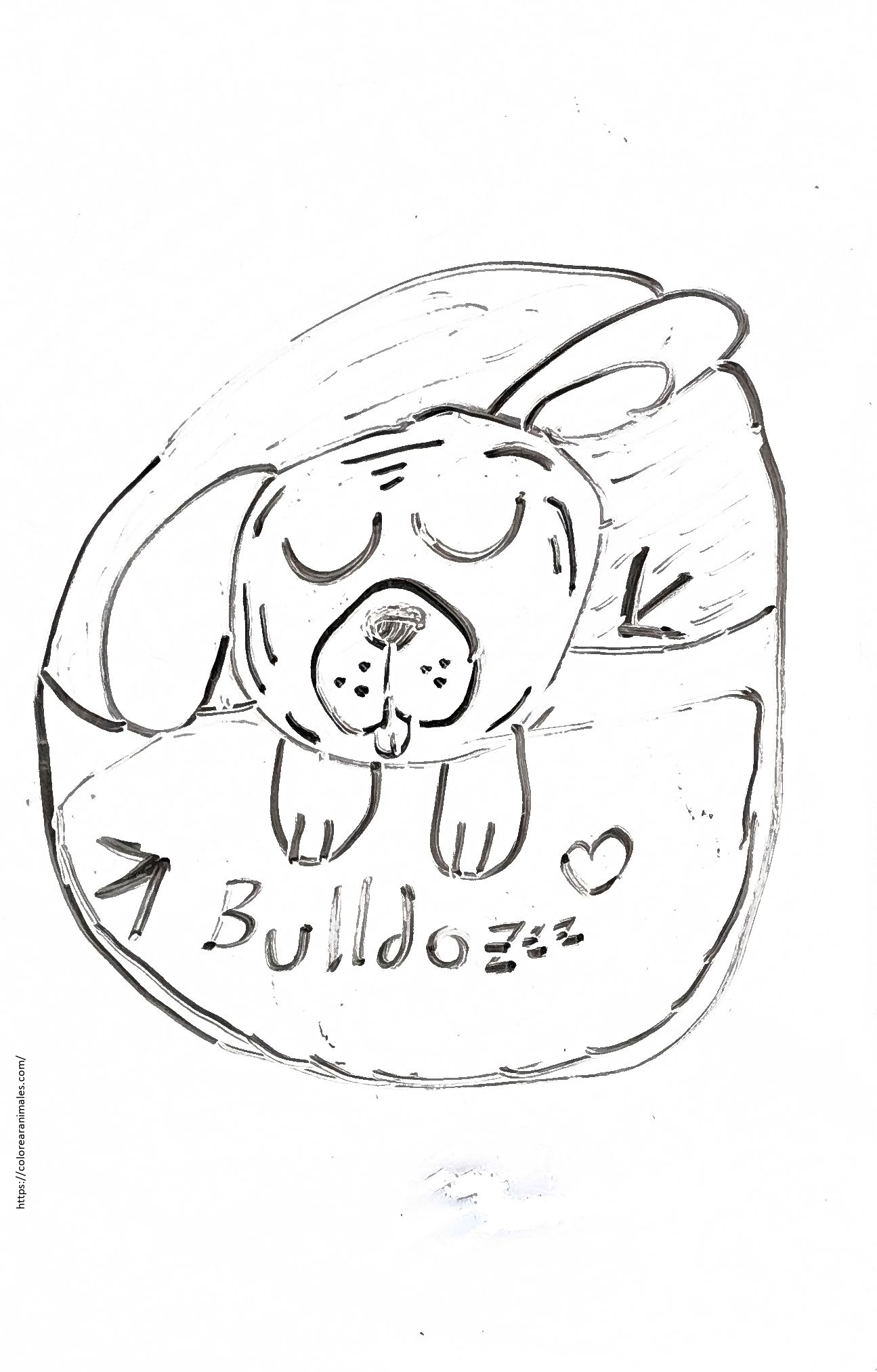 Bulldog durmiendo en su cesta para colorear — dibujo de Lara