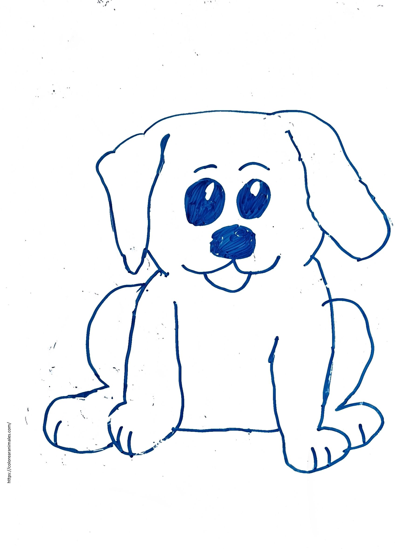 Cachorro sentado con ojos azules para colorear — dibujo de Lara