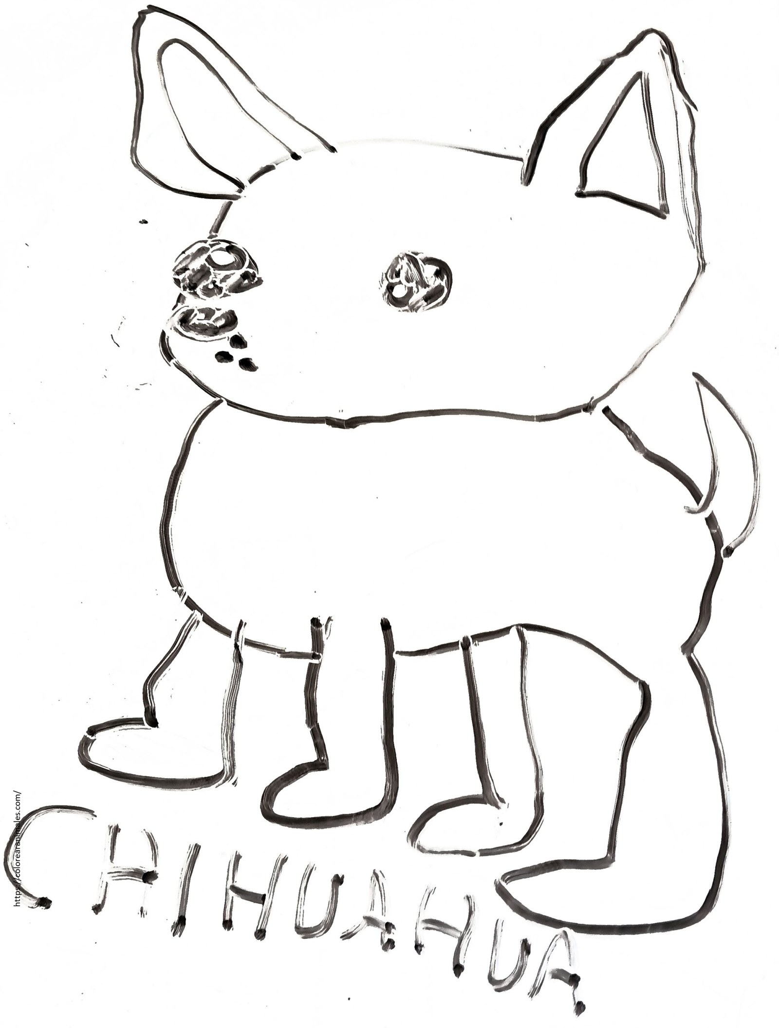 Chihuahua sentado para colorear a lapiz — dibujo de Lara