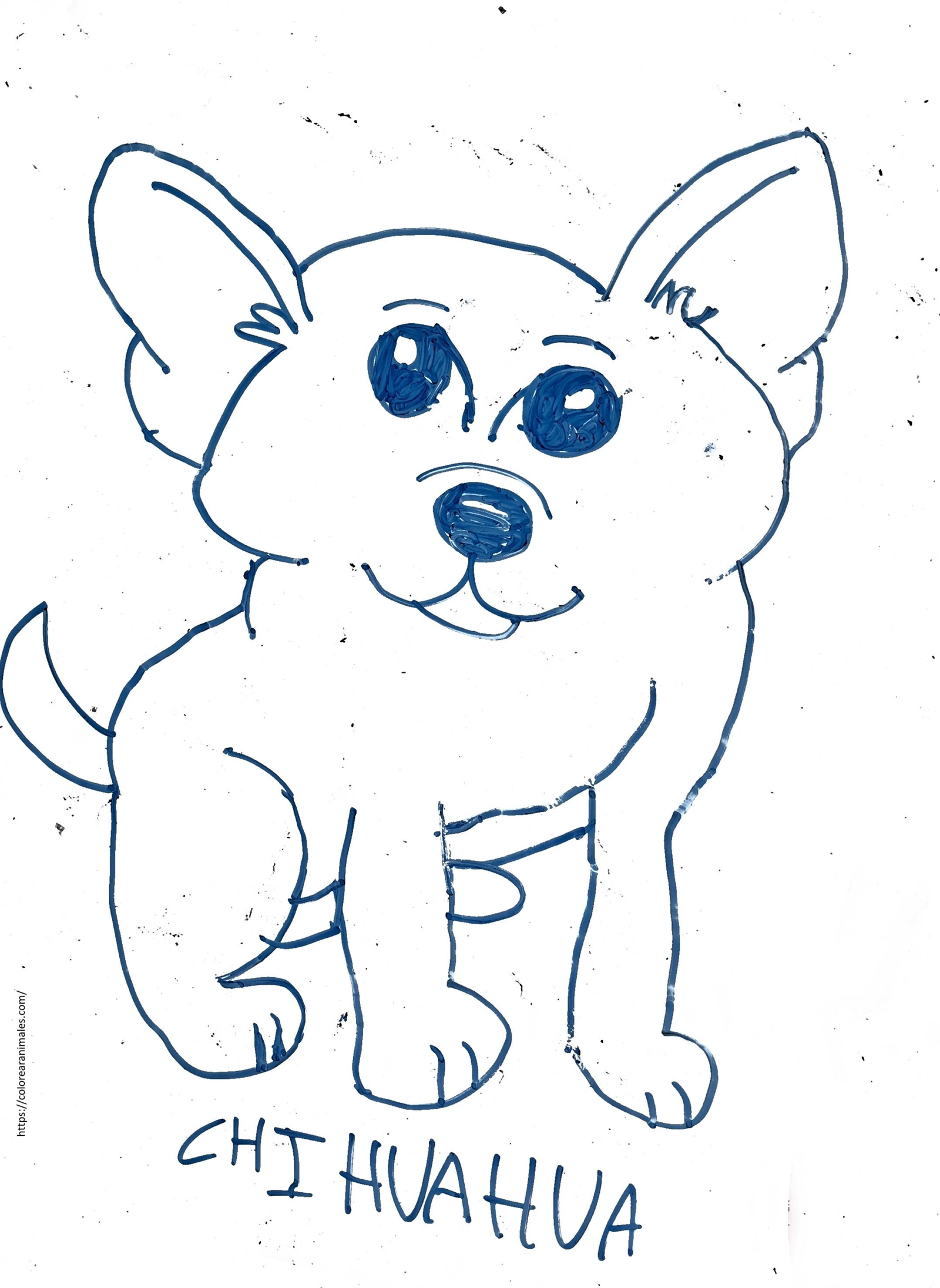 Chihuahua con ojos grandes para colorear, dibujo de Lara