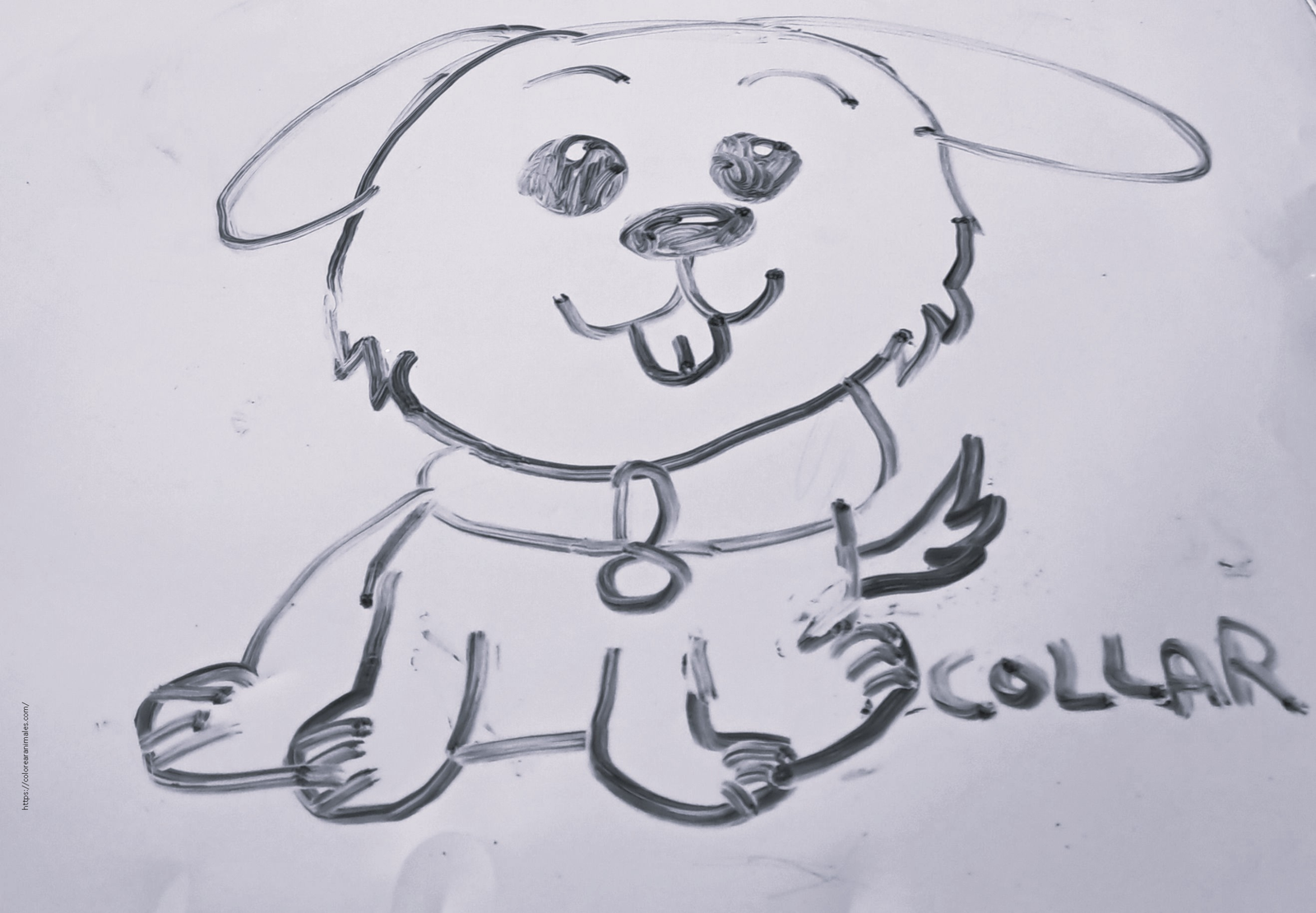 Perro con collar para colorear a lapiz — dibujo de Lara