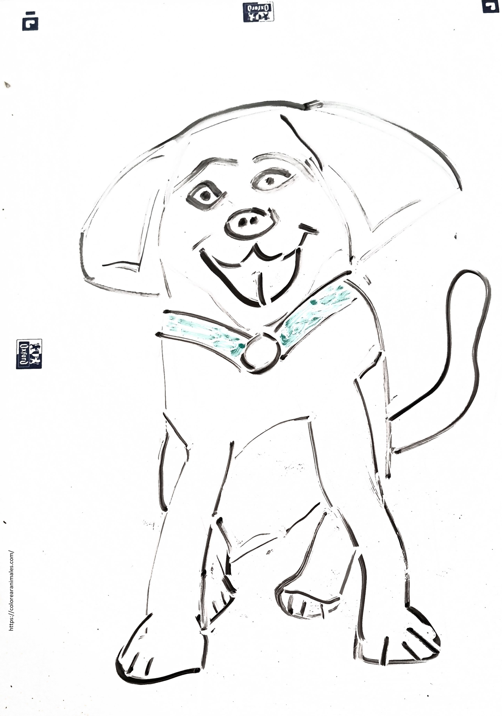 Perro con collar y pajarita para colorear, dibujo de Lara