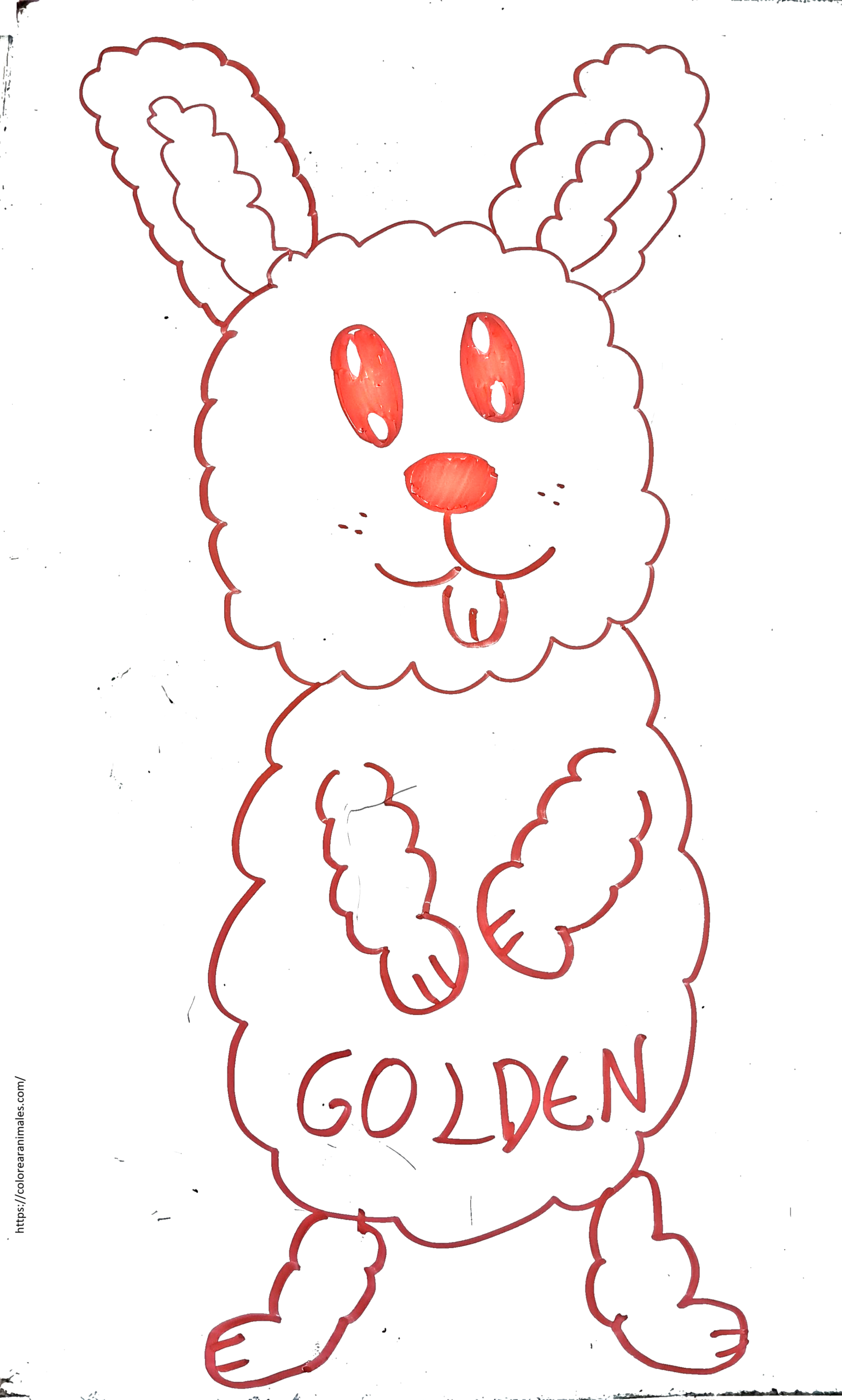 dibujo de golden retriever de cuerpo entero de pie para colorear, perro esponjoso para ninos