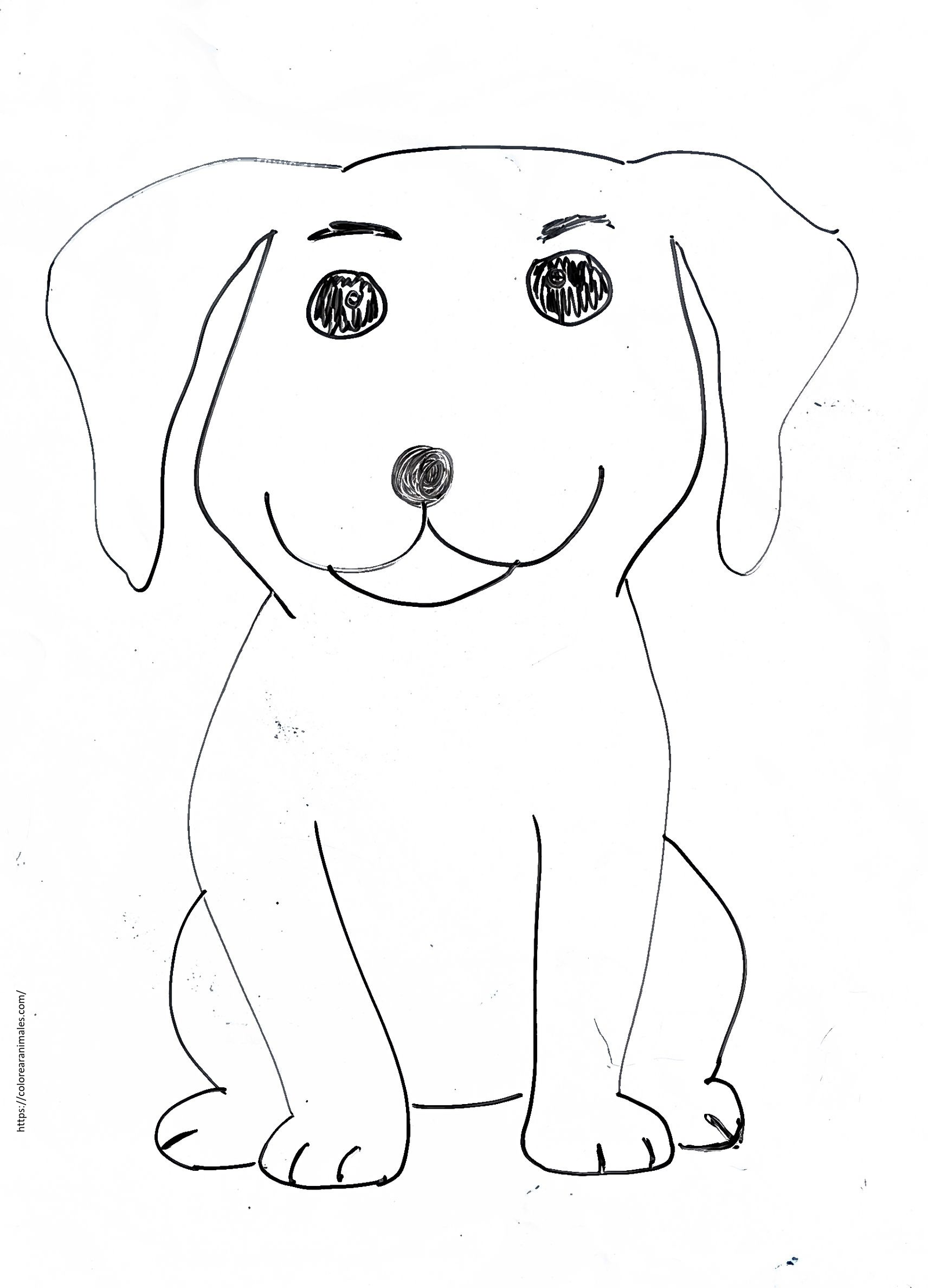Cachorro labrador sentado para colorear — dibujo de Lara
