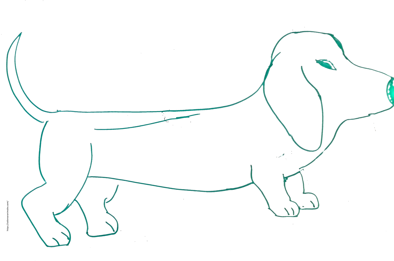 dibujo de perro salchicha de perfil para colorear, teckel de cuerpo alargado para ninos
