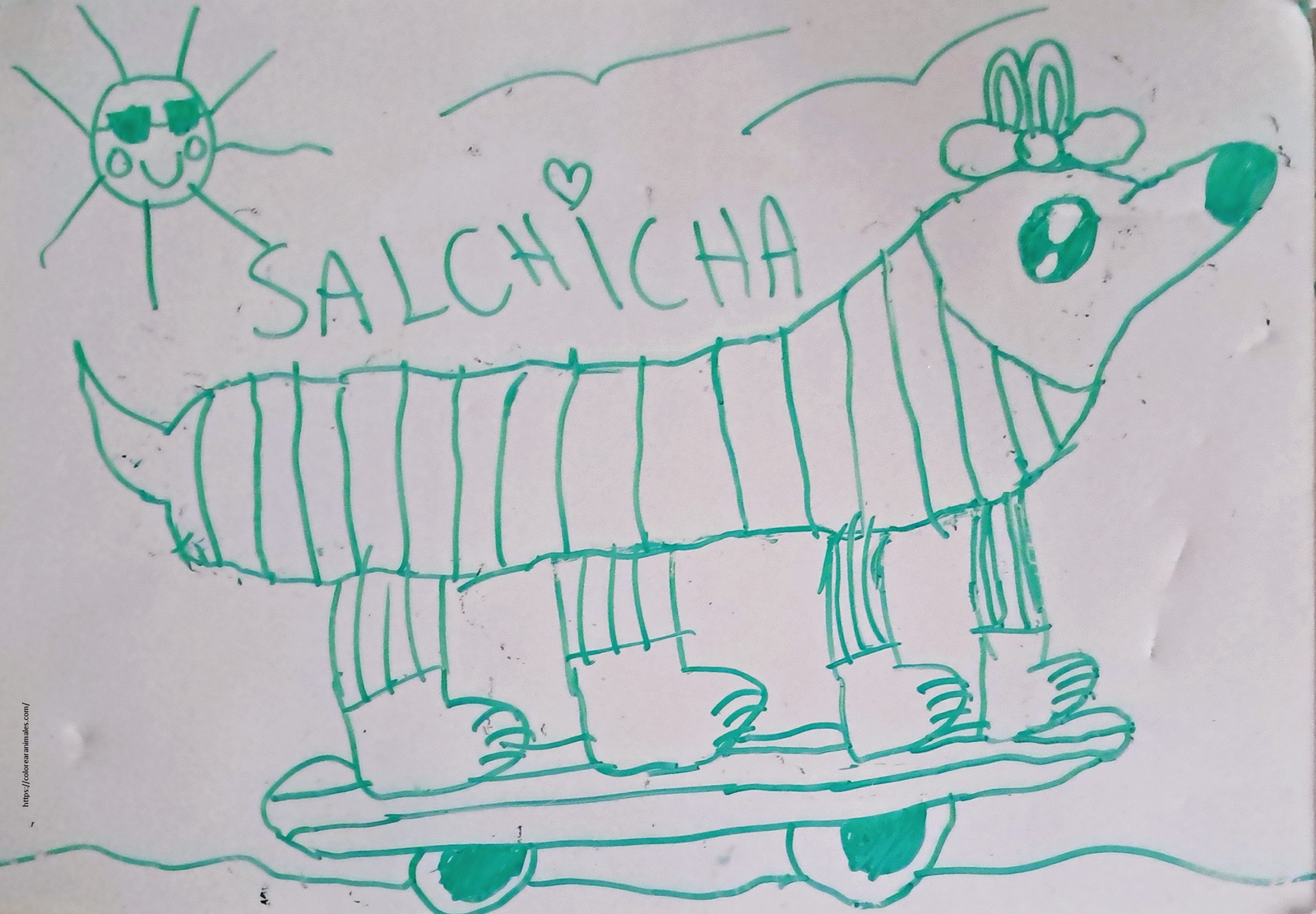 dibujo de perro salchicha montando en monopatin para colorear, escena divertida para ninos