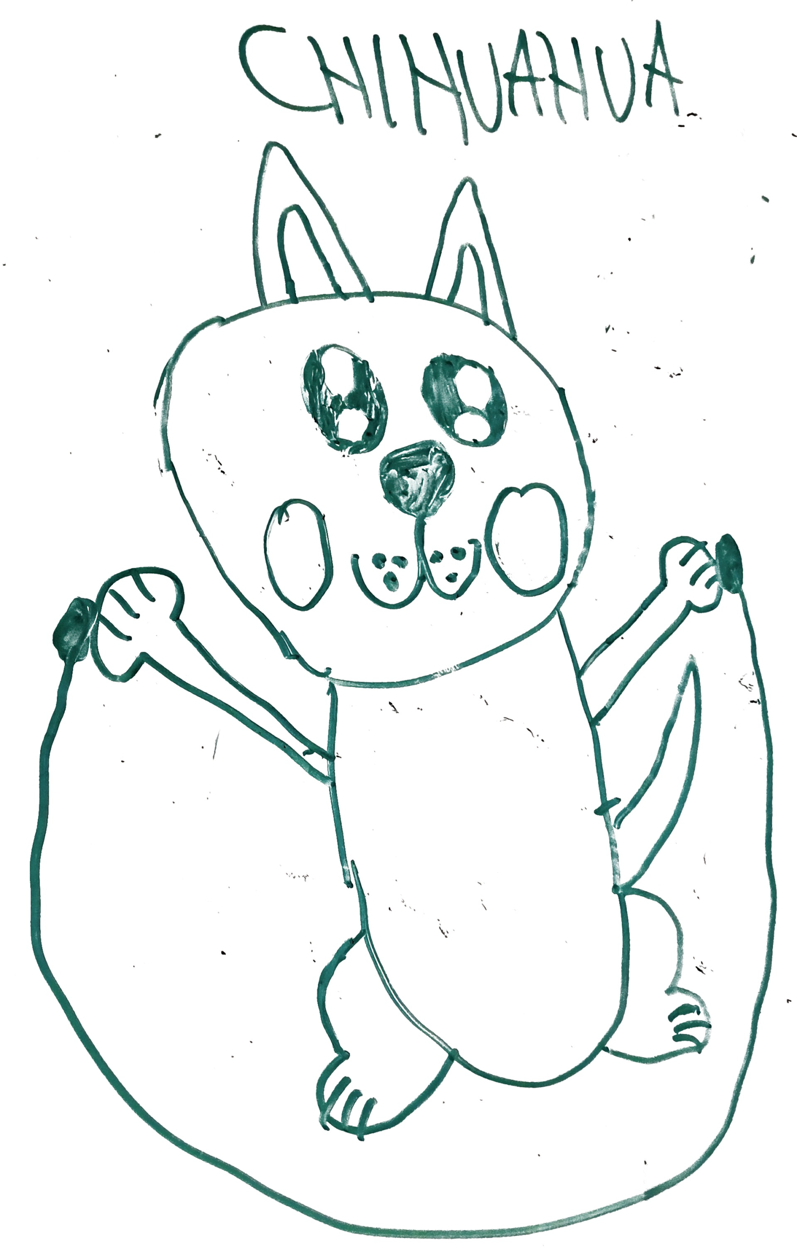 dibujo de perro chihuahua estirandose con las patas en alto para colorear, perrito alargado y gracioso para ninos