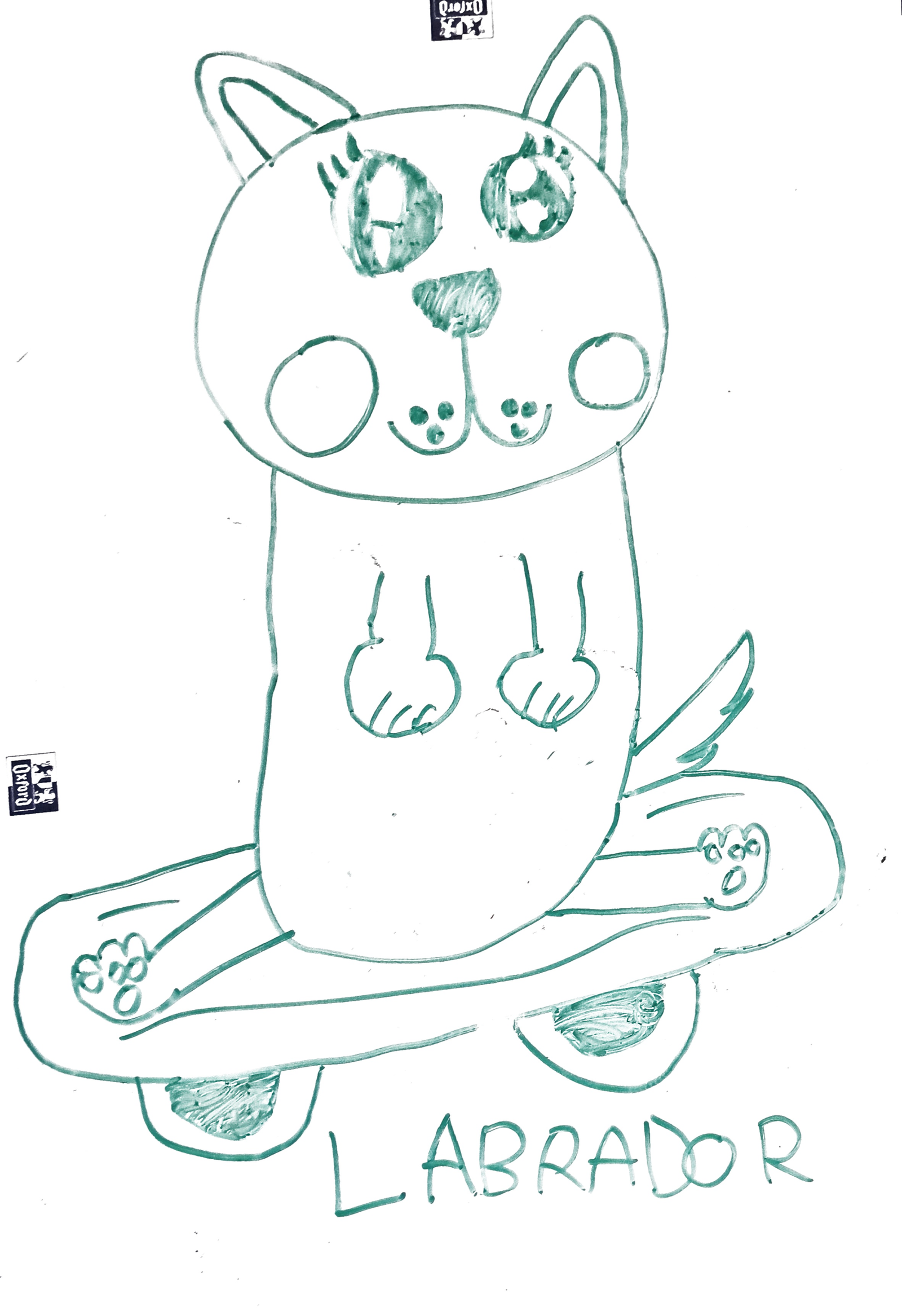 dibujo de labrador montando en monopatin para colorear, escena divertida para ninos