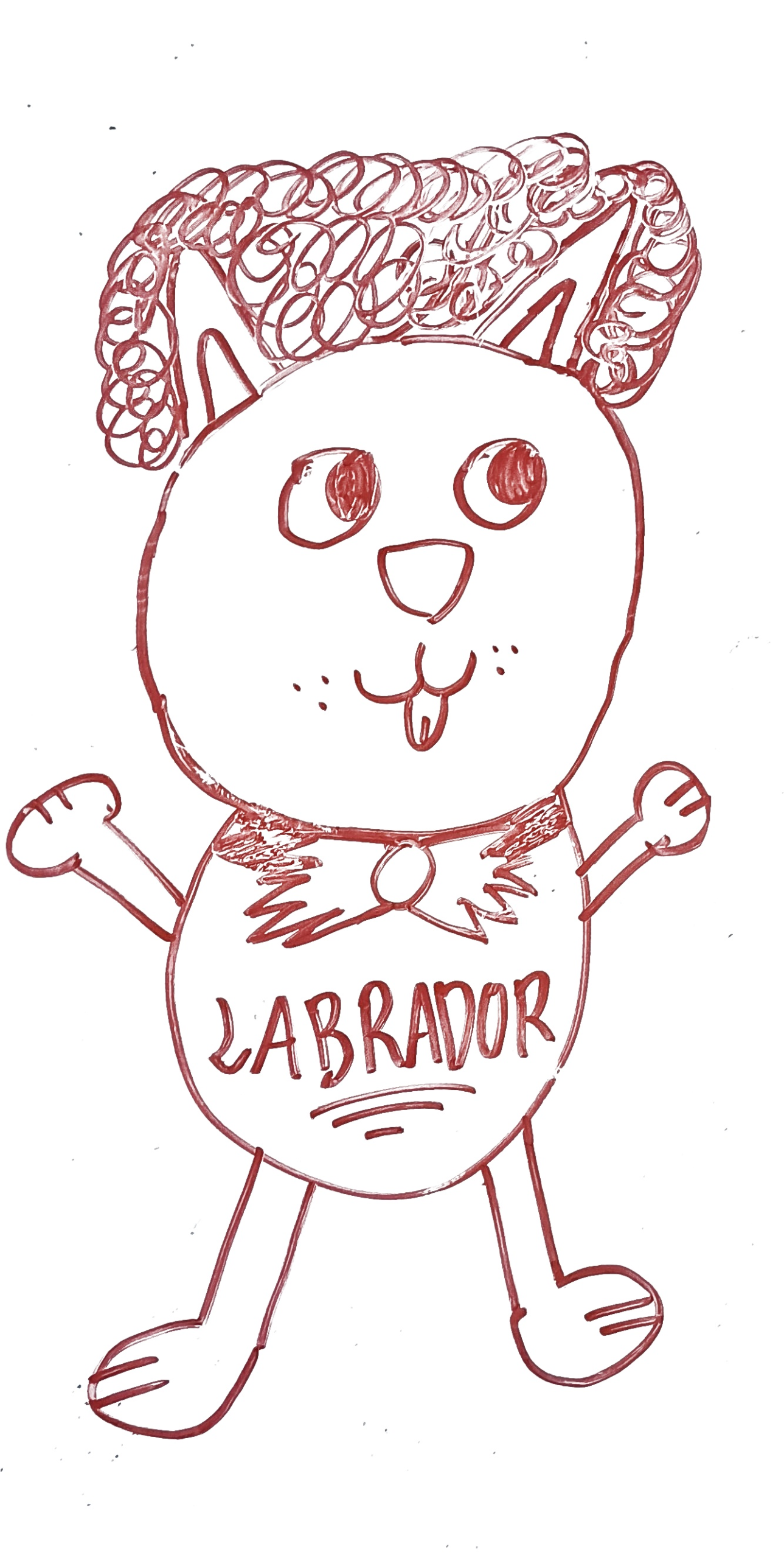 dibujo de labrador con peluca rizada y pajarita para colorear, perro elegante y gracioso para ninos