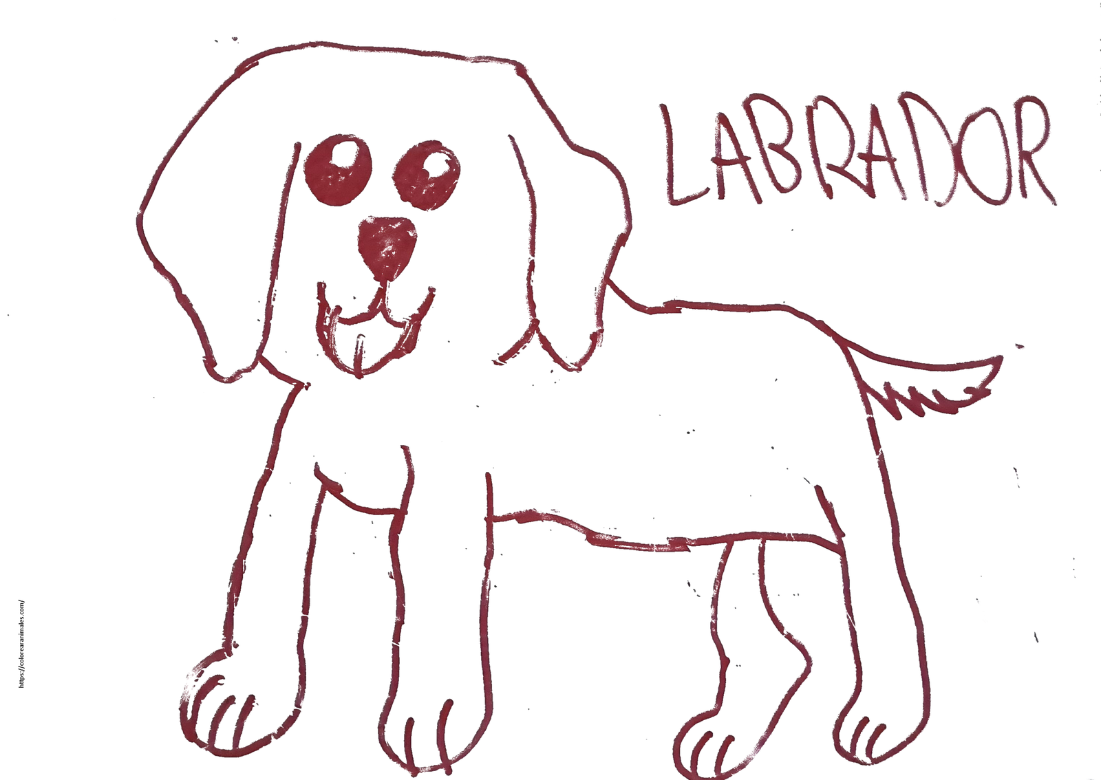 dibujo de cachorro labrador realista para colorear, carita tierna y patas grandes para ninos